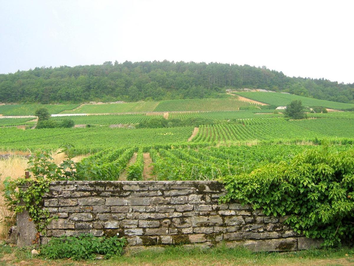 Le Richebourg - Charmant T2 Cosy, Tout Confort Gevrey-Chambertin Zewnętrze zdjęcie