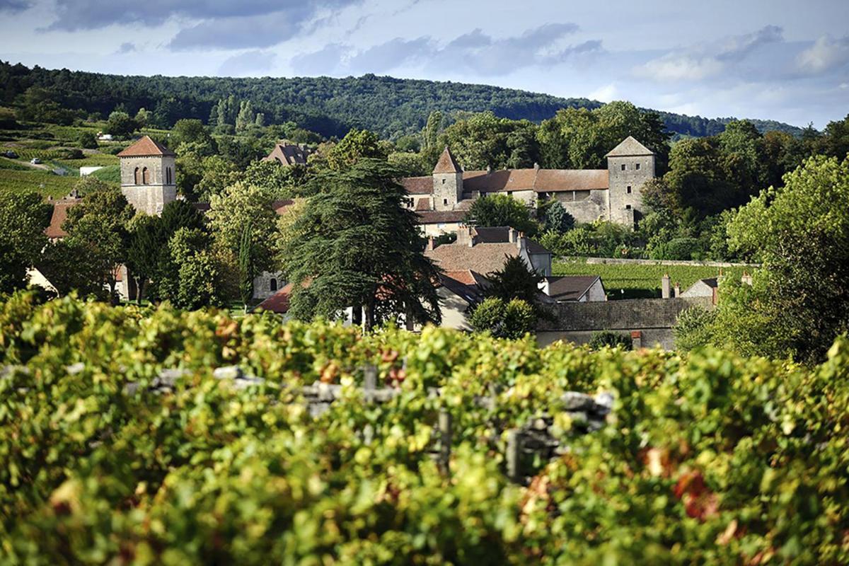 Le Richebourg - Charmant T2 Cosy, Tout Confort Gevrey-Chambertin Zewnętrze zdjęcie