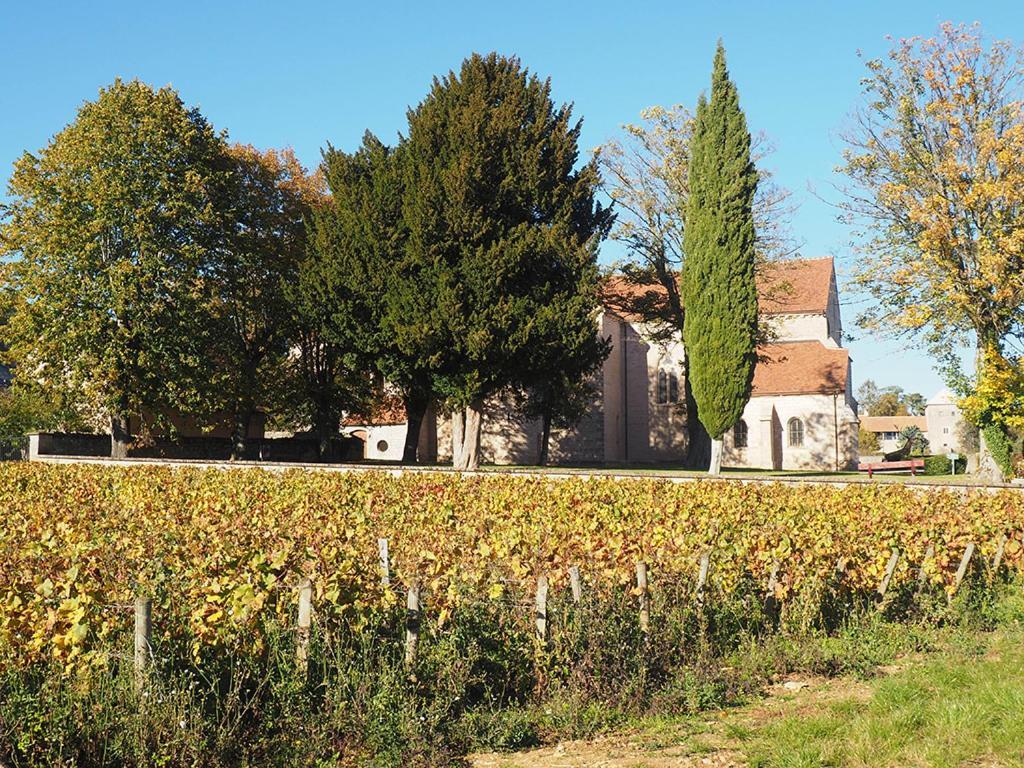 Le Richebourg - Charmant T2 Cosy, Tout Confort Gevrey-Chambertin Zewnętrze zdjęcie