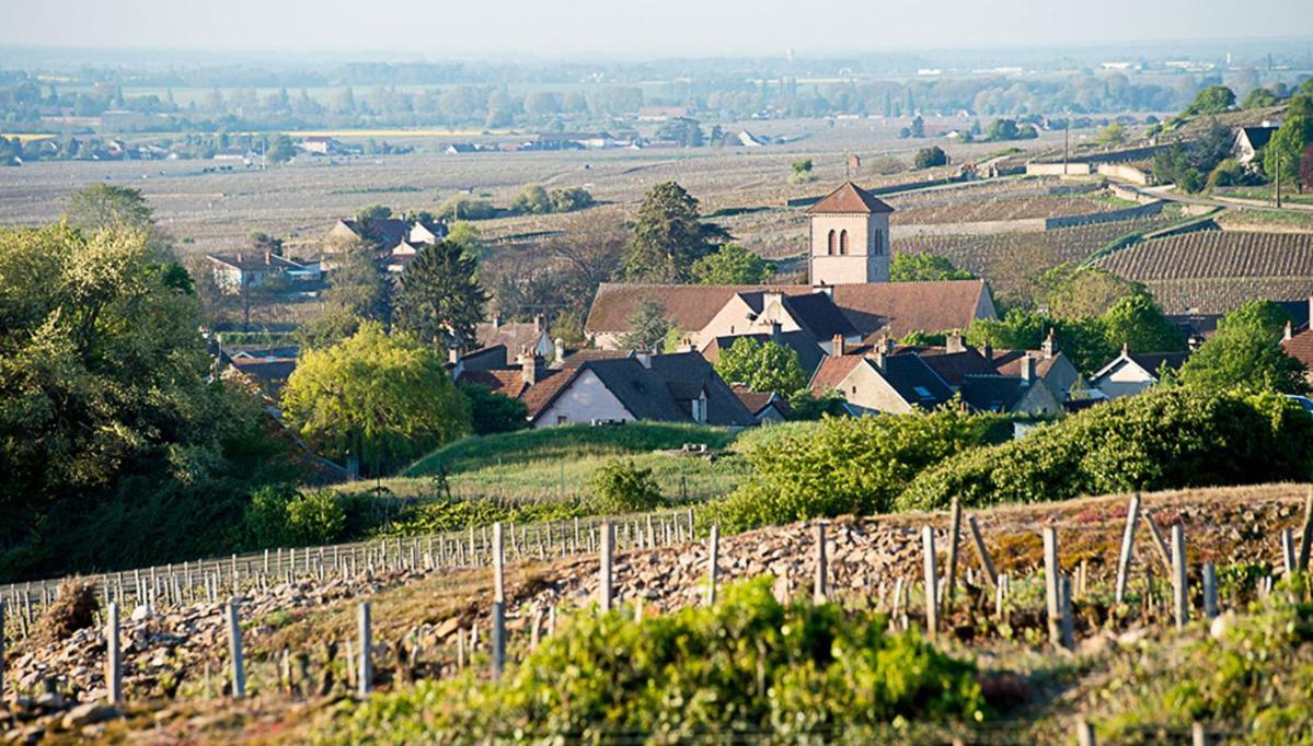 Le Richebourg - Charmant T2 Cosy, Tout Confort Gevrey-Chambertin Zewnętrze zdjęcie
